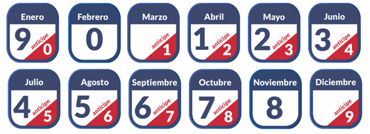 Calendario revisión técnica 2024